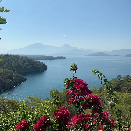 Kelebek Villa