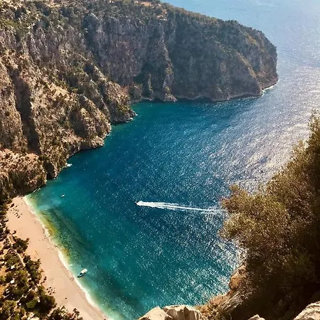 Kelebek